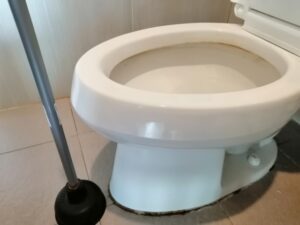 トイレにティッシュを流して詰まった時の正しい対処法と注意点